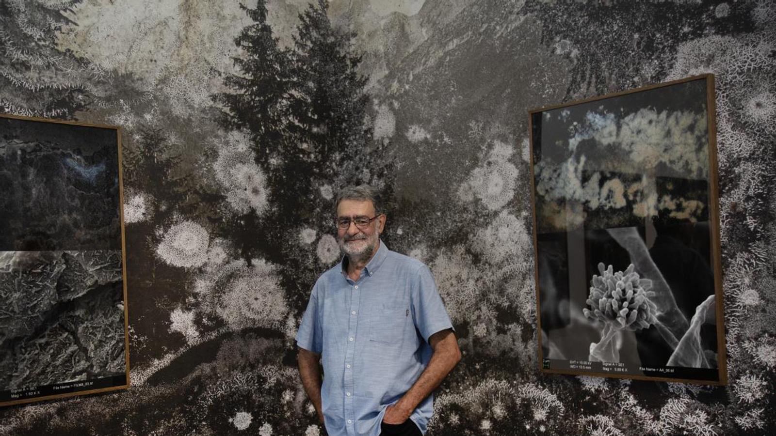 Exposición de Joan Fontcuberta en Àngels Barcelona
