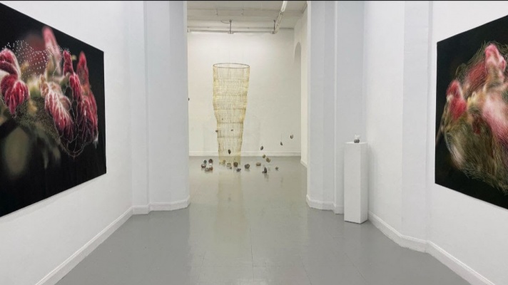 Instalación en Galería Vanguardia Bilbao